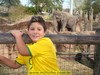-Clique na imagem para ampliar-